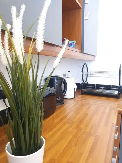 Contemporary Modern Studio Apartment - City Centre バーミンガム エクステリア 写真